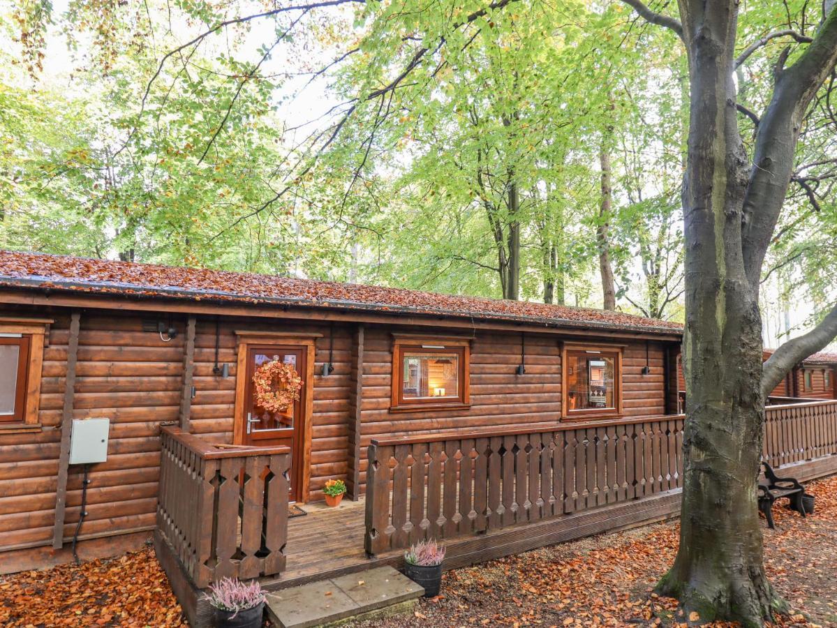 Leafy Hollow Lodge لاوث المظهر الخارجي الصورة